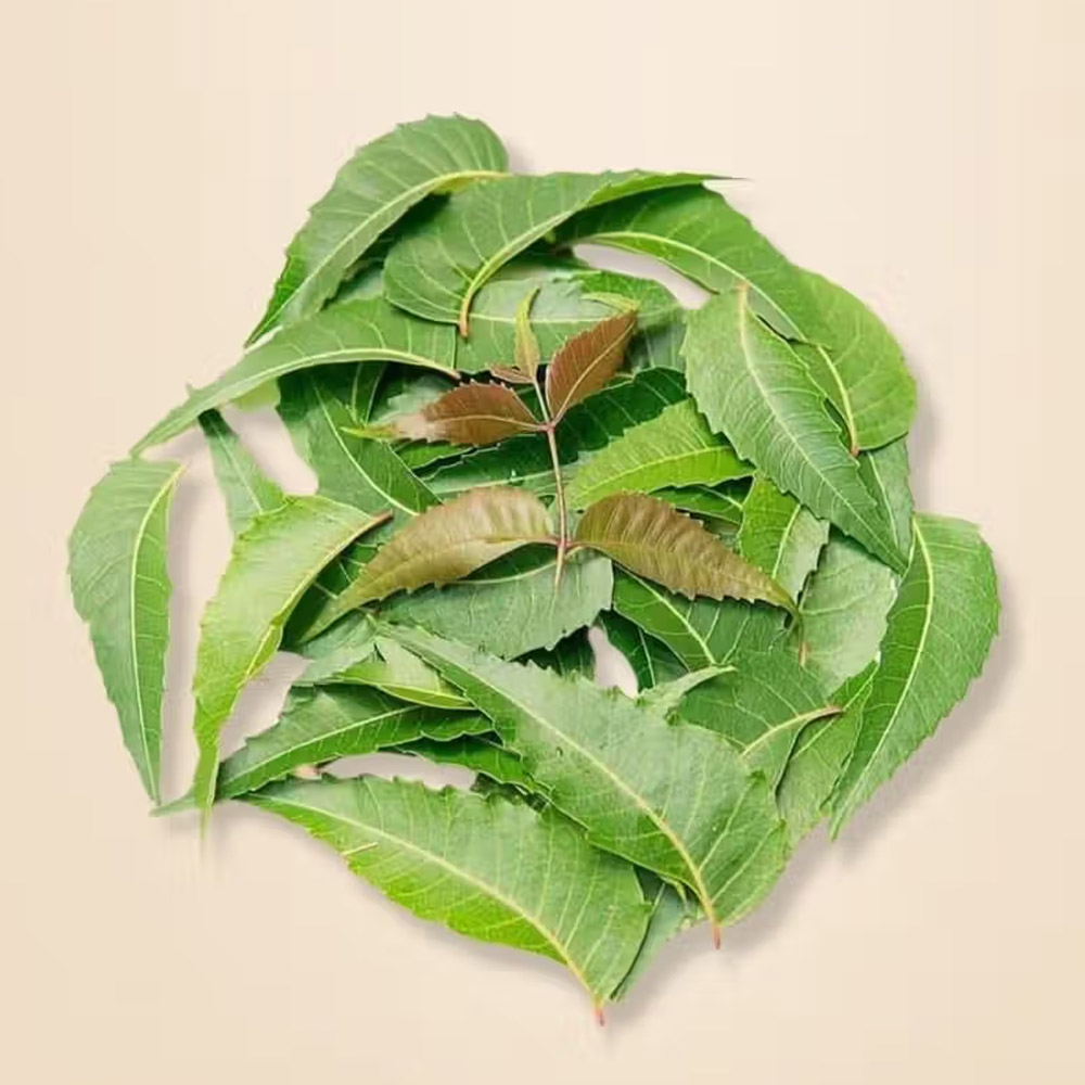 Neem Powder - Image 3
