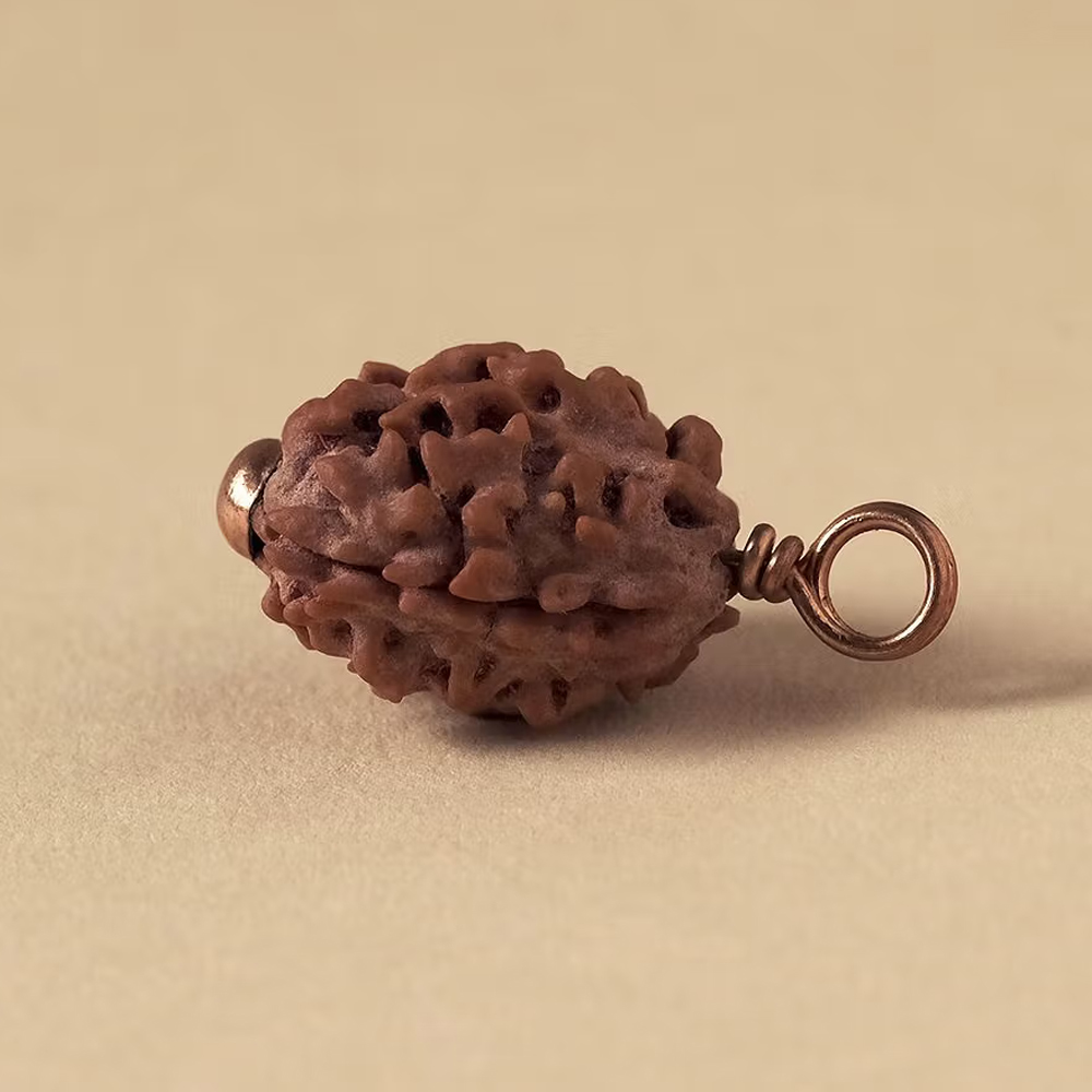 Authentic Isha Dwimukhi Rudraksha bead - Image 4