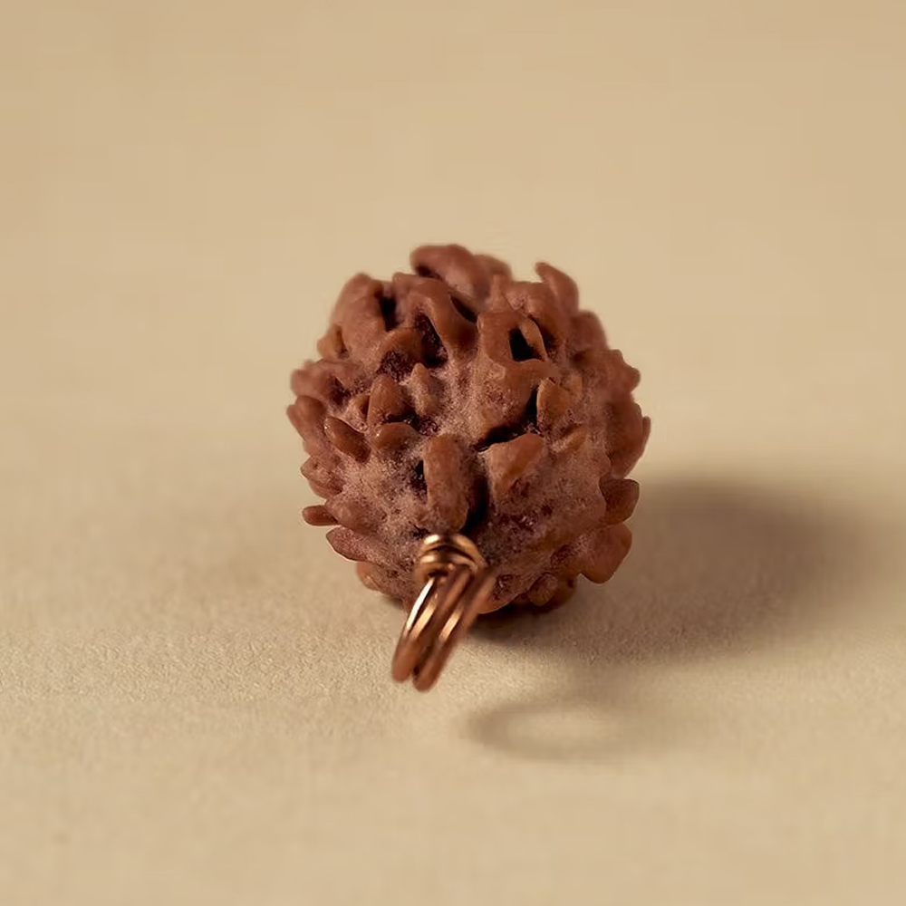 Authentic Isha Dwimukhi Rudraksha bead - Image 3